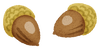 acorns.png