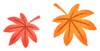 japanese-maple-leaves02.png